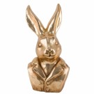 Kanin Gull Herr thumbnail