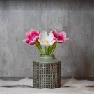 Vase grønn thumbnail